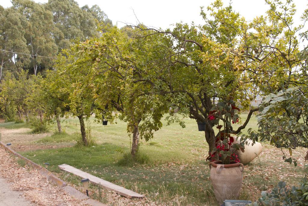 Bed & Breakfast Country &
